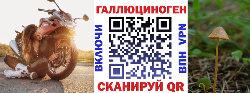 Галлюциногенные грибы Psilocybine cubensis Азов